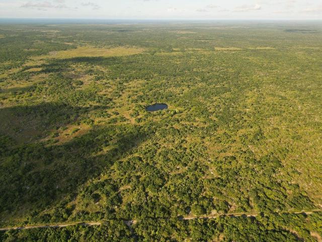 TERRENO EN VENTA CON CENOTE EN M?RIDA YUCAT?N | 151 HECT?REAS PARA DESARROLLO E INVERSI?N