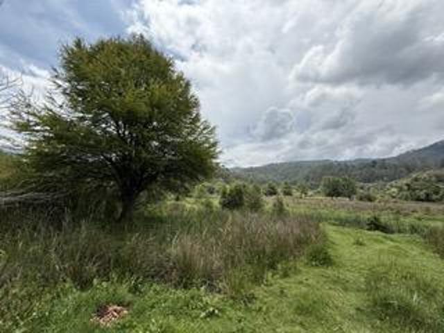 Terreno con hermosa vista en el centro de Amanalco