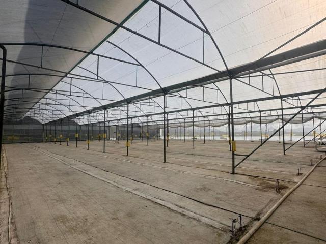 Terreno con instalaciones de invernadero