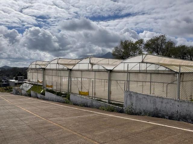 Terreno con instalaciones de invernadero