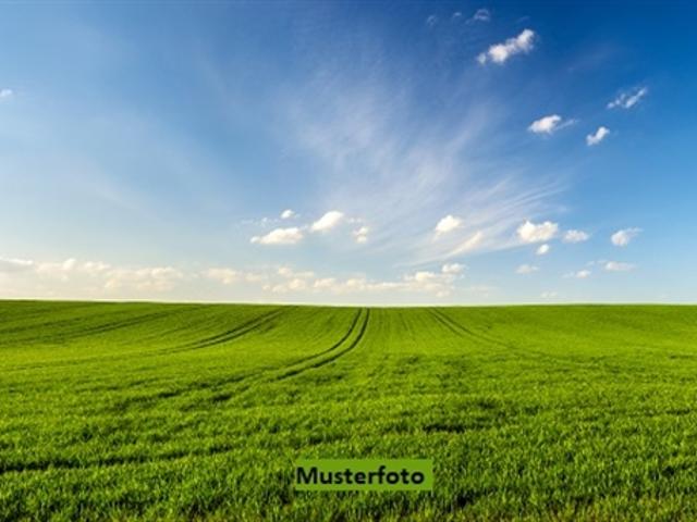 Terreno con rimessa