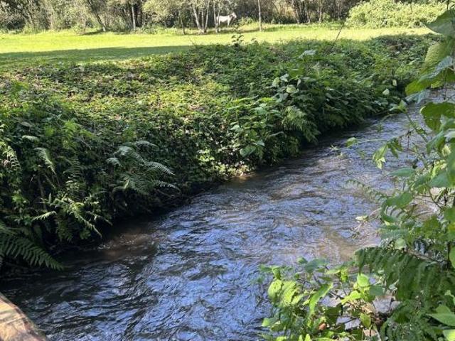 Terreno con río en Amanalco muy cerca de Valle de Bravo