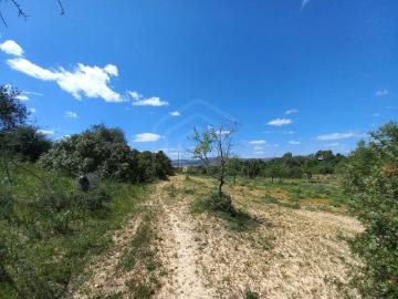Terreno, Conceição e Estoi, Faro | BPI Expresso Imobiliário