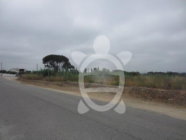 Terreno Condeixa