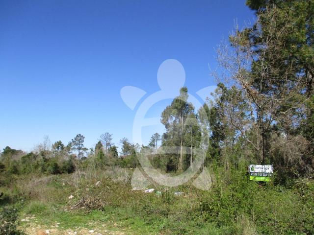 Terreno Condeixa