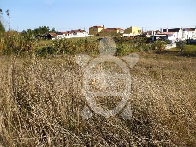 Terreno Condeixa
