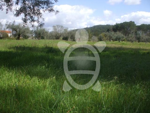 Terreno Condeixa