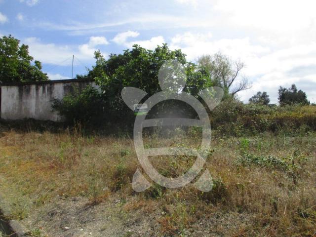 Terreno Condeixa