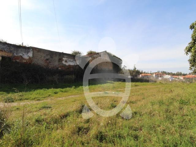 Terreno Condeixa