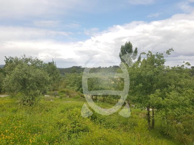 Terreno Condeixa