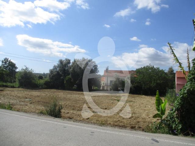 Terreno Condeixa