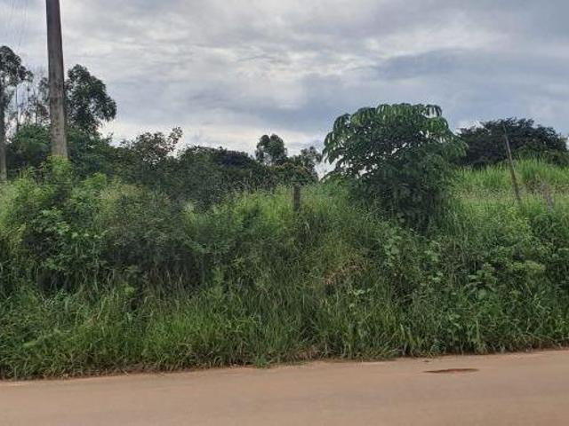 Terreno Alfenas
