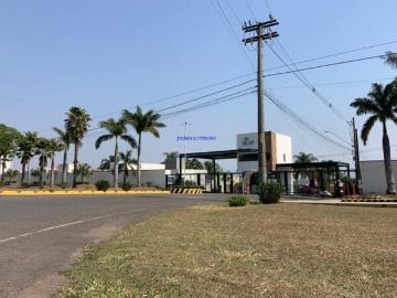 Terreno, Condomínio Palm Park, Estiva Gerbi, SP