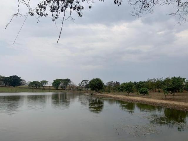 Terreno Jardim Suécia