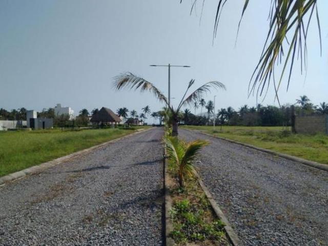 Terreno Congregacion El Zapote