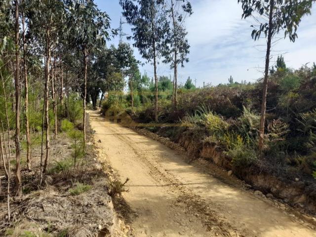 Terreno construtivo a 10 min. de Monção e 15 min. de Melgaço