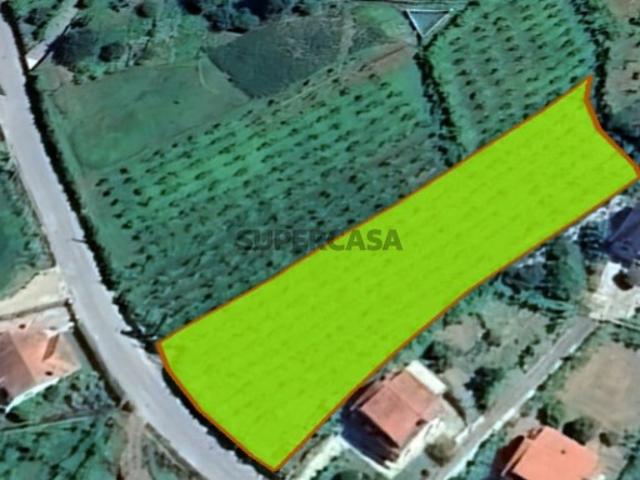 Terreno construtivo, com ótimos acessos