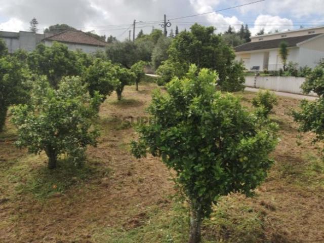 Terreno Construtivo em Torres Novas