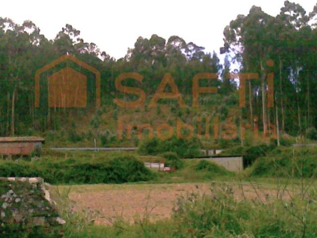 Terreno construtivo