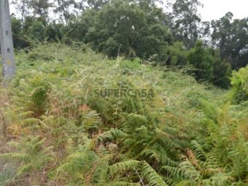 Luzim e Vila Cova, Concelho de Penafiel, Distrito de Porto