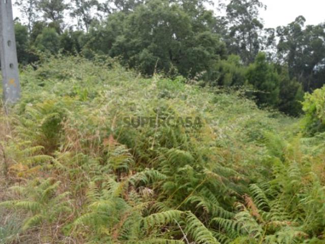 Terreno Construção Bustelo Penafiel
