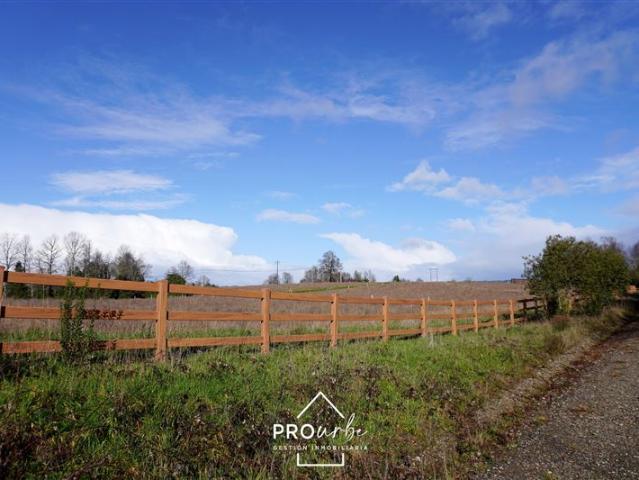 Terreno Construccion en Venta en Venta Parcelas en Condominio Lomas del Trebol, acceso Ruta 5S, 5.000 m2, Paillaco, Valdivia