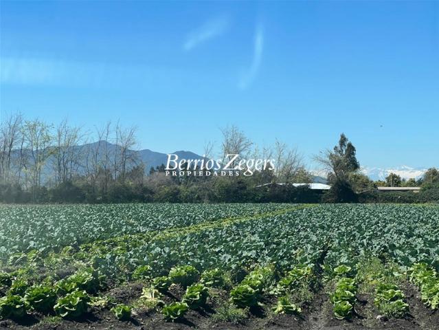 Terreno Construccion en Venta en Vicuña Mackenna