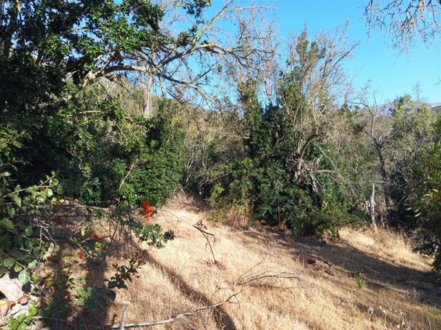 Terreno Construccion en Venta en Camino La Chupalla Lote 12