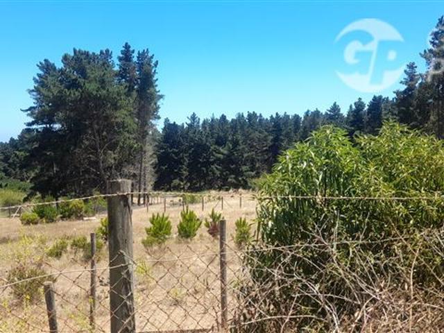 Terreno Construccion en Venta en FUNDO PEÑABLANCA ALGARROBO
