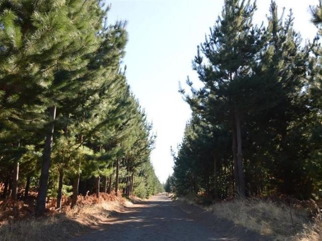 Terreno Construccion en Venta en Laja