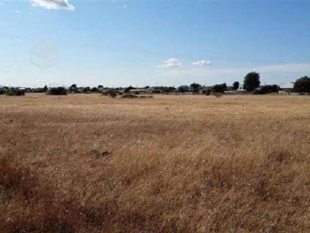 Terreno Construccion en Venta en Los Crisantemos