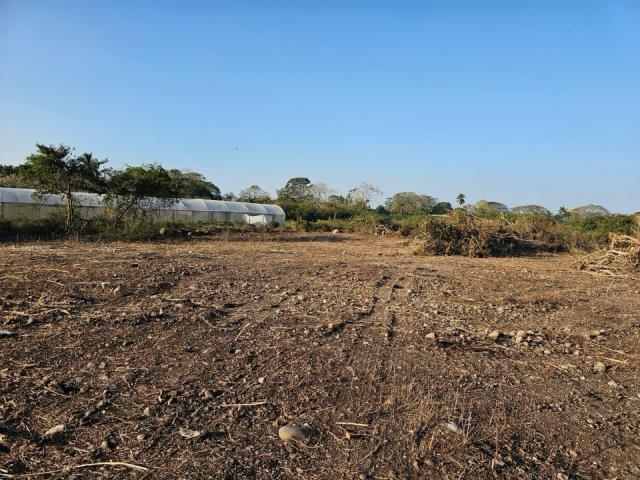 Terreno Cotaxtla