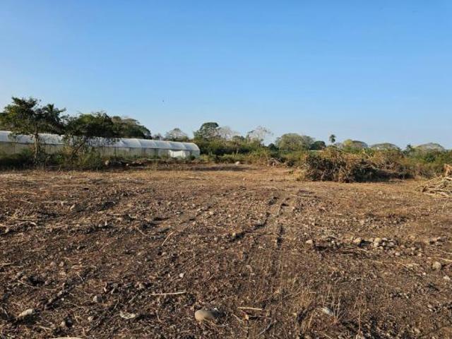 Terreno Cotaxtla