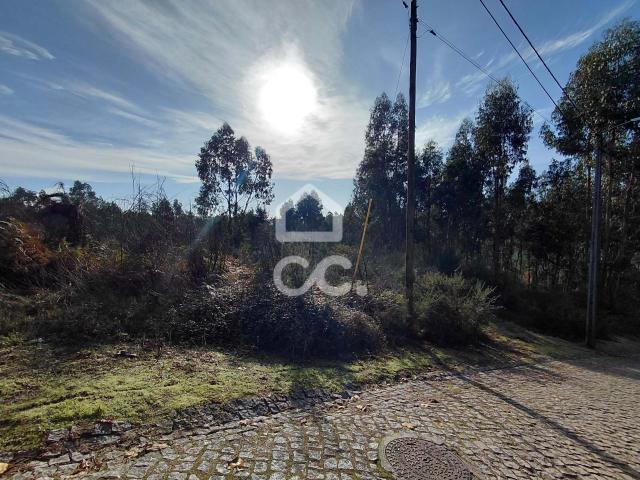 Terreno, Cristelos, Boim e Ordem, Lousada