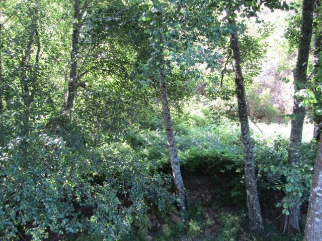 Terreno da Gildeira, Sardoal
