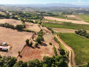 Terreno da Lage