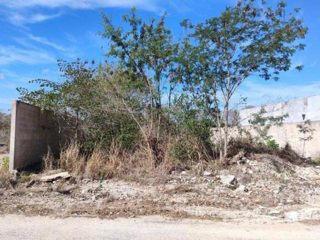 Terreno de mas de 500m2 en venta Dzitya