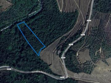 Terreno de Mato