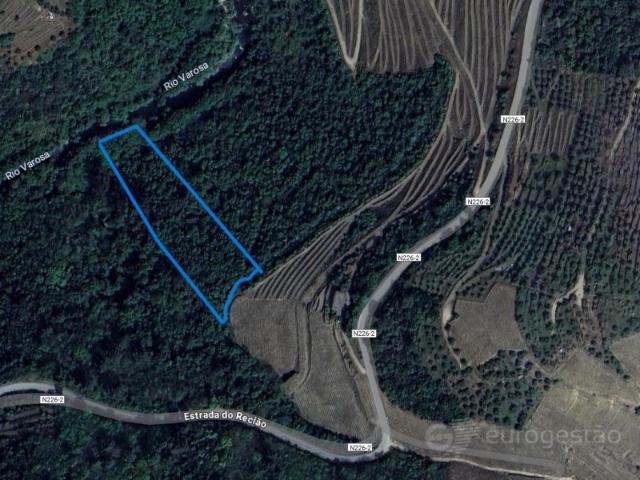 Terreno de Mato