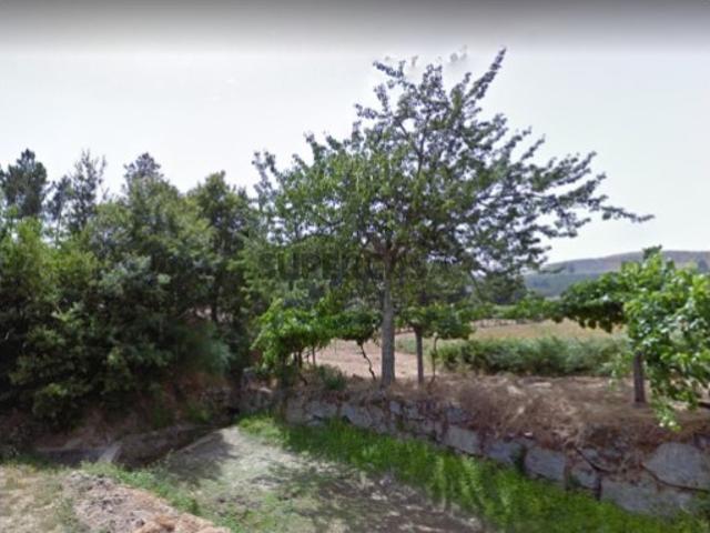 Terreno de Monte rústico Gestaçô Baião