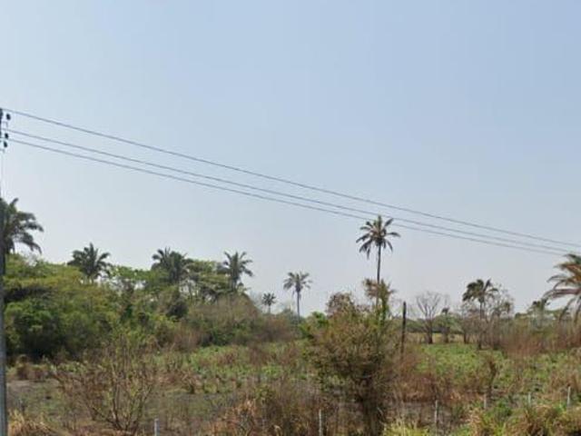 TERRENO DE OPORTUNIDAD A ORILLA DE CARRETERA EN PASO DEL TORO