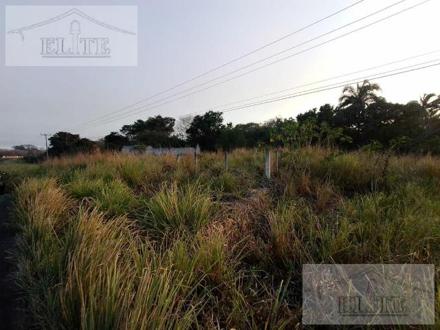 TERRENO DE OPORTUNIDAD A ORILLA DE CARRETERA EN PASO DEL TORO