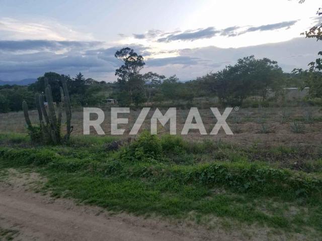 Terreno de Oportunidad en Miahuatlan de Porfirio Diaz