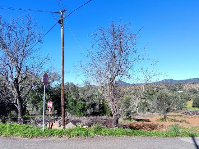 Terreno de cultura com 2500 m2 em Palmeiros Loulé
