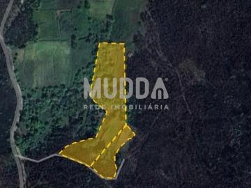 Terreno de cultura, mato e pinhal