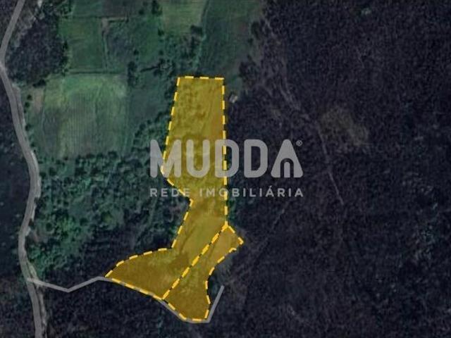 Terreno de cultura, mato e pinhal