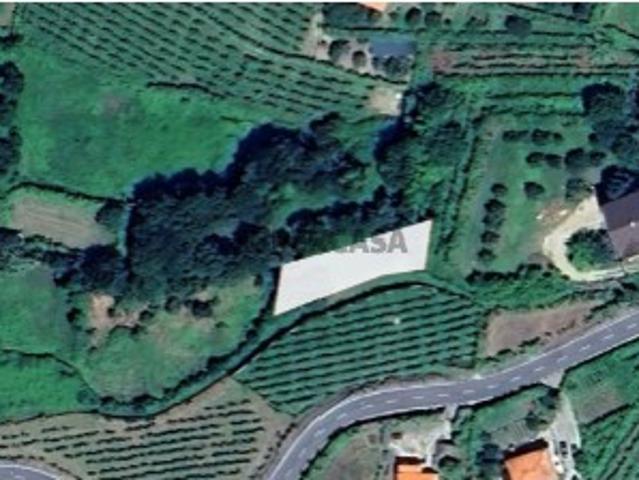Terreno de cultivo