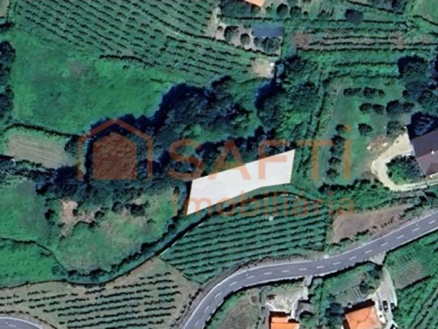 Terreno de cultivo