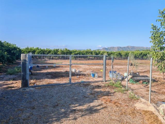 Terreno de cultivo con arboles frutales variados parcela 2865m2 todo vallado