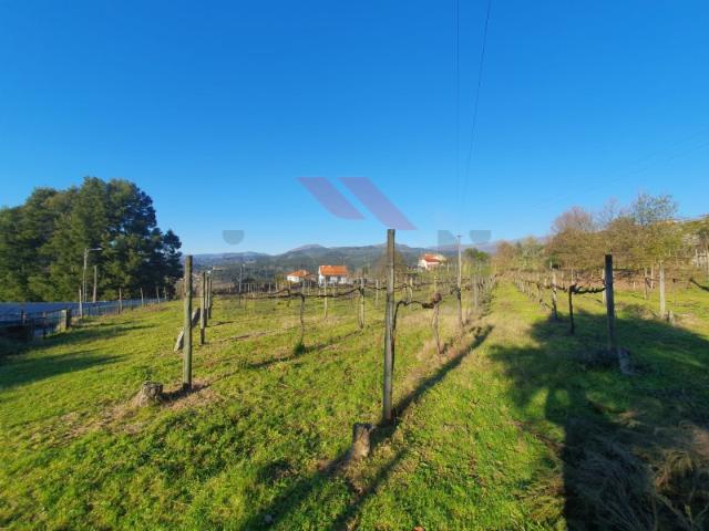 Terreno de Construçao em Azere